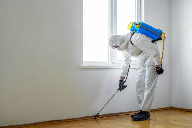 Best Bed Bug Extermination  in Holiday City Berkeley, NJ