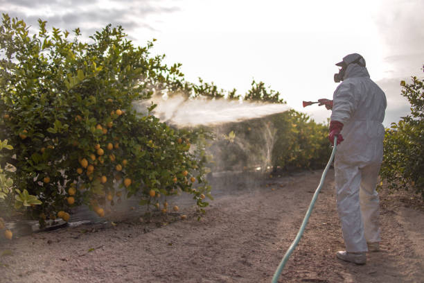 Best Wasp Removal Services  in Holiday City Berkeley, NJ