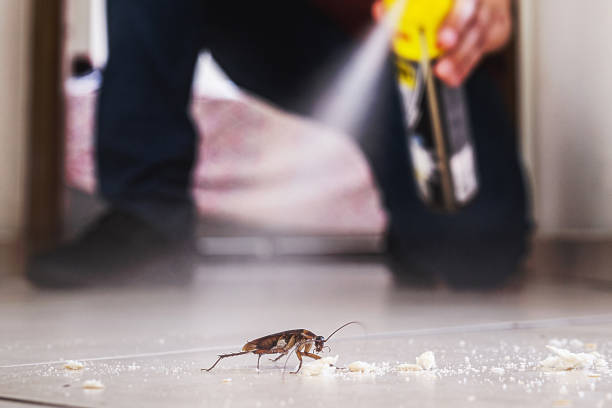 Insect Control in Holiday City Berkeley, NJ